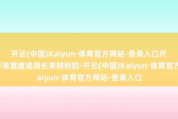 开云(中国)Kaiyun·体育官方网站-登录入口尺码常常是左证手掌宽度或周长来辨别的-开云(中国)Kaiyun·体育官方网站-登录入口