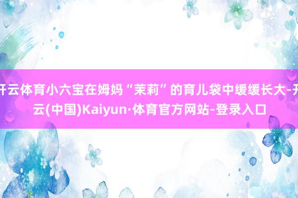 开云体育小六宝在姆妈“茉莉”的育儿袋中缓缓长大-开云(中国)Kaiyun·体育官方网站-登录入口