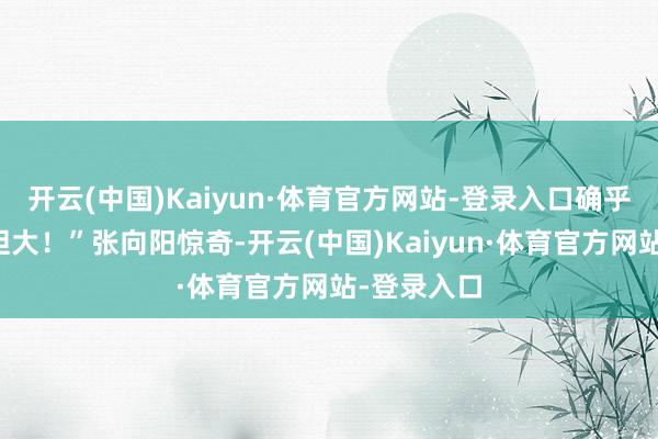 开云(中国)Kaiyun·体育官方网站-登录入口确乎是艺能手胆大！”张向阳惊奇-开云(中国)Kaiyun·体育官方网站-登录入口