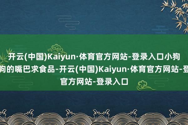 开云(中国)Kaiyun·体育官方网站-登录入口小狗会舔母狗的嘴巴求食品-开云(中国)Kaiyun·体育官方网站-登录入口