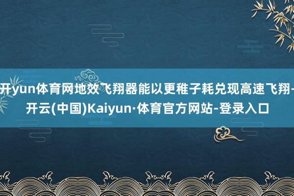 开yun体育网地效飞翔器能以更稚子耗兑现高速飞翔-开云(中国)Kaiyun·体育官方网站-登录入口