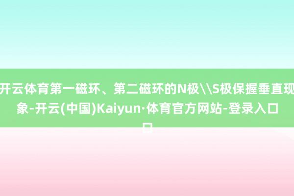 开云体育第一磁环、第二磁环的N极\S极保握垂直现象-开云(中国)Kaiyun·体育官方网站-登录入口