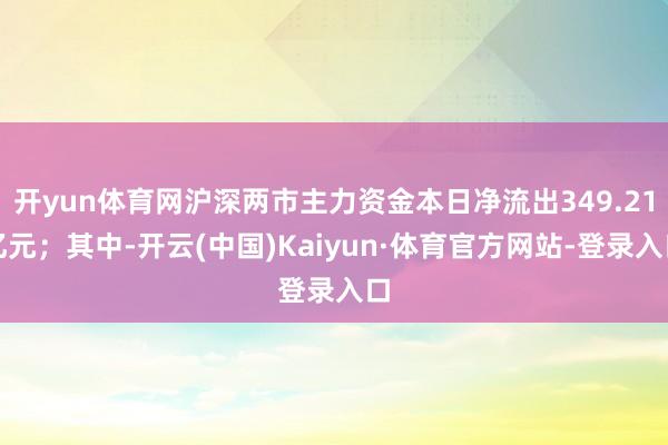 开yun体育网沪深两市主力资金本日净流出349.21亿元；其中-开云(中国)Kaiyun·体育官方网站-登录入口