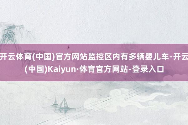 开云体育(中国)官方网站监控区内有多辆婴儿车-开云(中国)Kaiyun·体育官方网站-登录入口